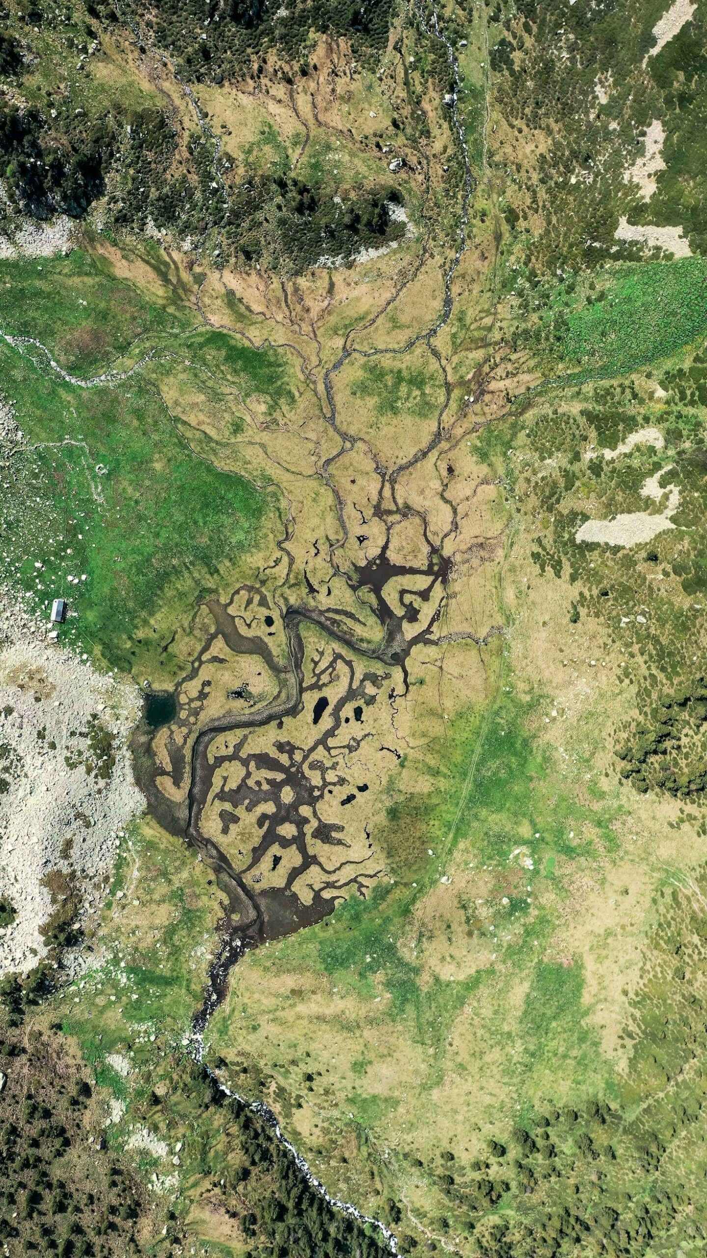Monitoraggio agronomico: il futuro dell’agricoltura sostenibile