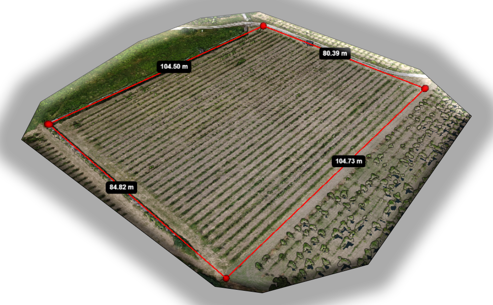 Monitoraggio agronomico con drone: la nuova frontiera dell’agricoltura di precisione
